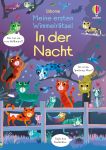 Meine ersten Wimmelrätsel: In der Nacht buchcover