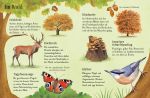 Usborne Minis - Naturführer: Entdecke den Herbst innenansicht