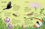Usborne Minis - Naturführer: Entdecke den Frühling innenansicht