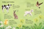 Usborne Minis - Naturführer: Entdecke den Frühling innenansicht