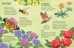 Usborne Minis - Naturführer: Entdecke den Sommer innenansicht