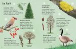 Usborne Minis - Naturführer: Entdecke den Winter innenansicht
