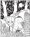 Mein Farbenzauber-Malbuch: Tiere des Waldes innenansicht