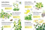 Ich erkunde die Natur: Unsere Wildblumen innenansicht