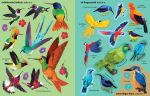 Die große Sticker-Tierwelt: Vögel innenansicht