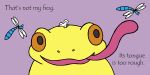 That's not my frog… spread