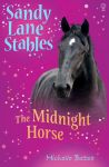 The Midnight Horse book cover