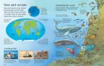 First Encyclopedia of Our World spread