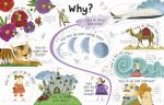 Lift-the-flap Questions and Answers spread
