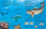 First Encyclopedia of Seas and Oceans spread