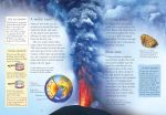 Rocks and Fossils spread