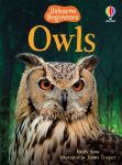 Owls book cover