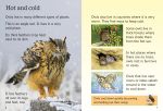 Owls spread