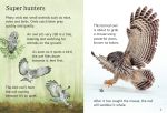 Owls spread