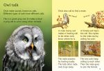Owls spread