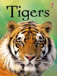 Tigers book cover