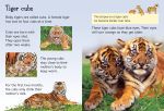 Tigers spread
