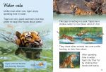 Tigers spread