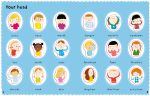 First Sticker Book Your Body spread