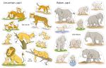 Big Sticker Book of Animals spread