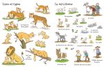 Le zoo page intérieure