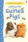 Looking after Guinea Pigs book cover