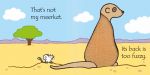 That's not my meerkat… spread