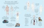 Il corpo umano pagina interna