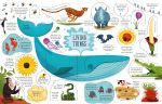 Lift-the-Flap General Knowledge spread