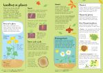Junior Illustrated Science Dictionary spread