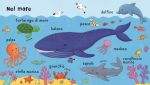 Gli animali pagina interna