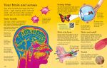 The Usborne Children's Encyclopedia spread