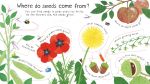 First Questions and Answers: How do flowers grow? spread