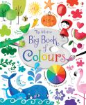 Big Book of Colours book cover