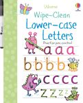Wipe-clean Lower-case Letters book cover