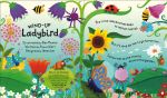 Wind-up Ladybird spread