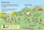The Stone Age spread