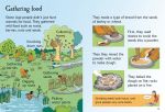 The Stone Age spread