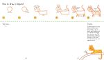 Step-by-Step Drawing Animals spread