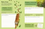 Creative Writing Book spread