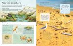 The Usborne Outdoor Book spread