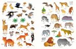La nature page intérieure