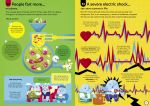 100 Things to Know About the Human Body spread