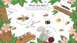 First Questions and Answers: Why do we need bees? spread