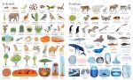 1000 Things in Nature spread