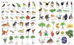 1000 Things in Nature spread