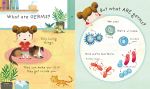 Very First Questions and Answers What are Germs? spread
