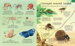 Big Book of Bugs spread