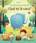 ¿Qué es la caca? cubierta