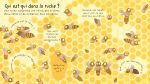Pourquoi a t-on besoin des abeilles ? page intérieure